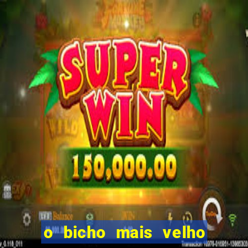 o bicho mais velho da loteria dos sonhos